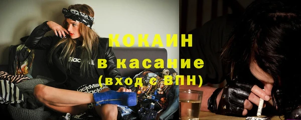 дживик Алексин