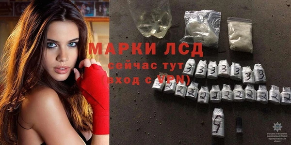 амф Алзамай