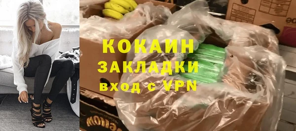 дживик Алексин