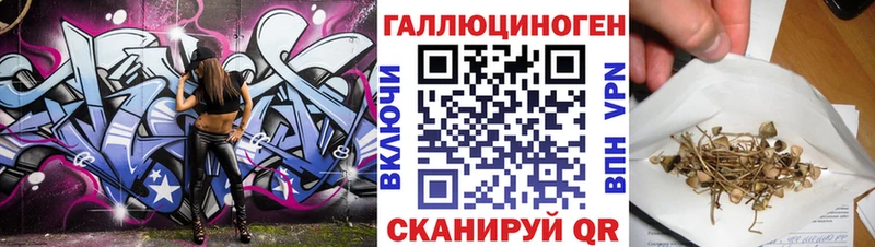 Псилоцибиновые грибы GOLDEN TEACHER Гуково